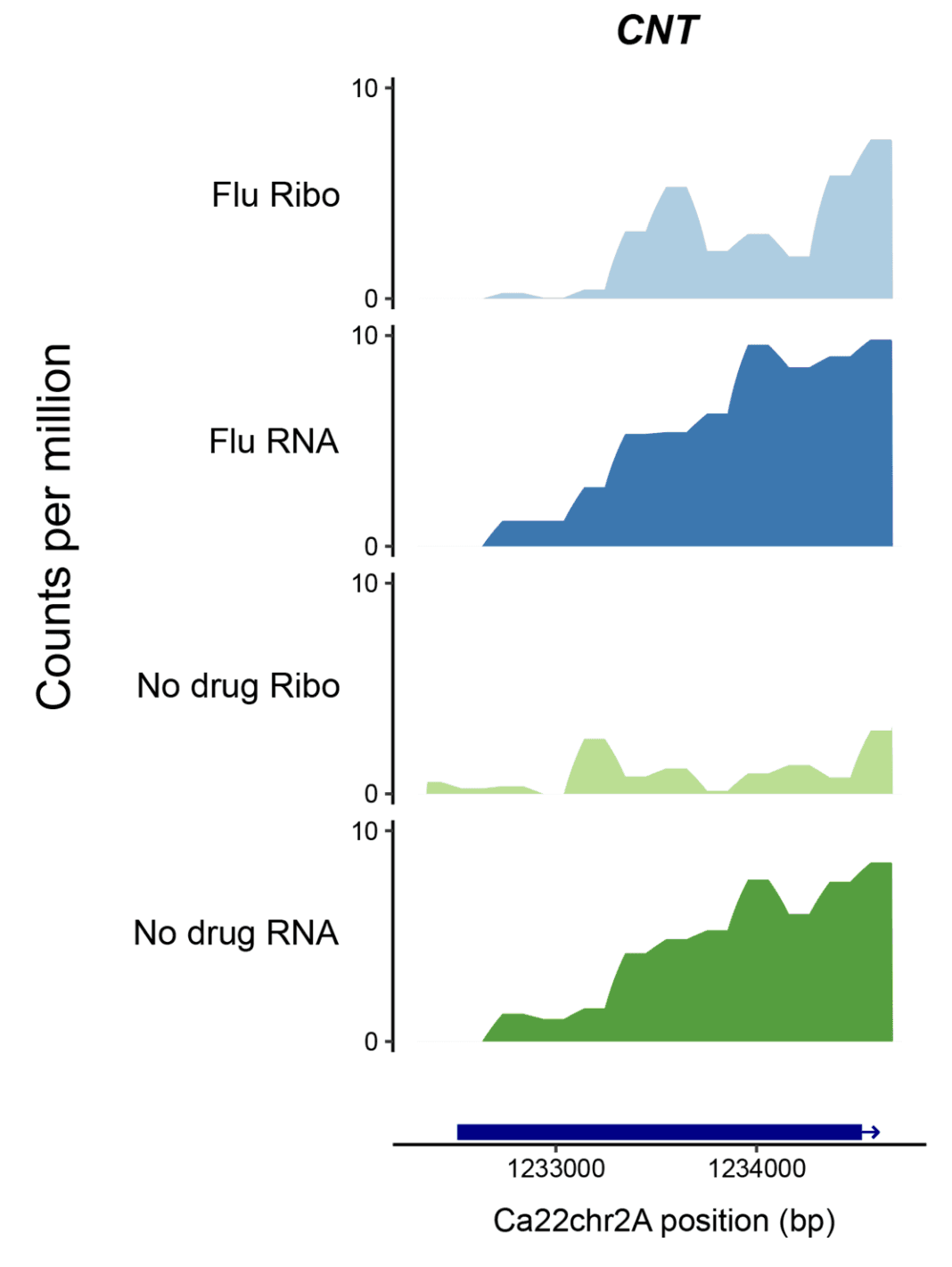 Publication image for Genome-wide translational response of Candida albicans to fluconazole treatment